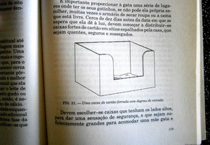 imagem_8