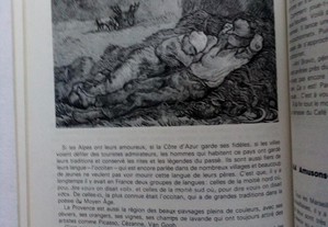 imagem_7