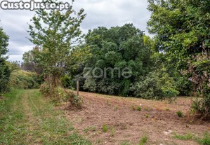 Terreno Urbano, Em Sobreiro, Albergaria A Velha