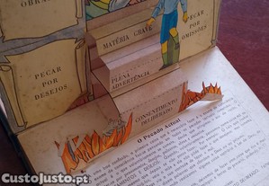 imagem_13