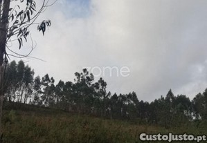 Terreno Rustico Em Escariz São Martinho, Vila...