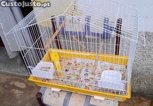 imagem_3
