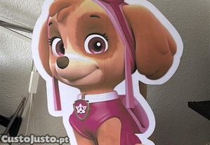 imagem_1