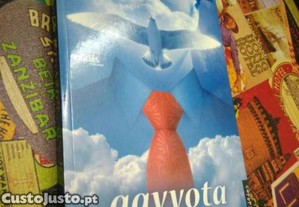 imagem_1