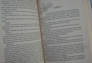 imagem_8