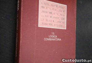 imagem_1