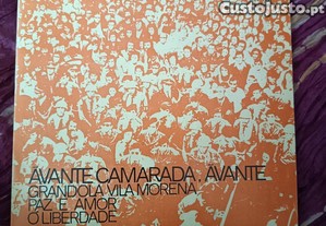 imagem_5