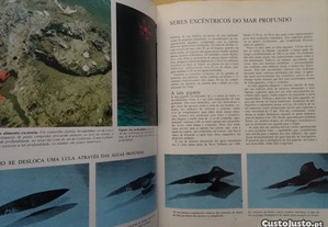 imagem_5
