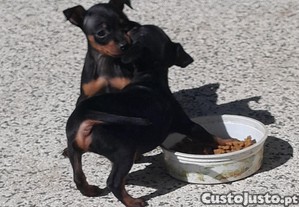 imagem_4