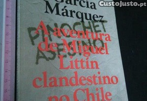 imagem_1
