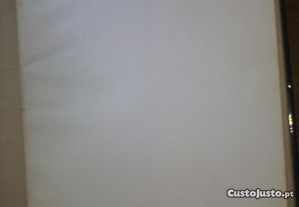 imagem_7
