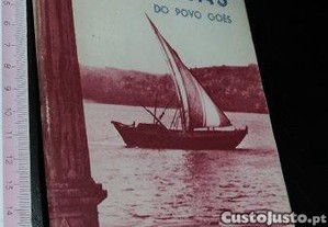 imagem_1