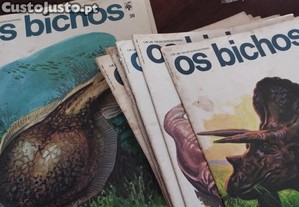 imagem_1