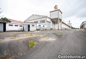imagem_31