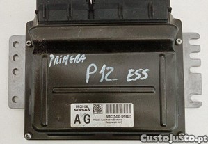 imagem_1