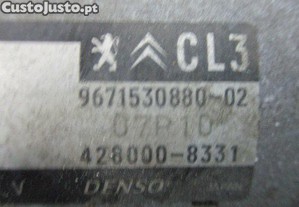 imagem_3