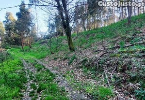 imagem_9
