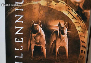 imagem_11