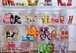 imagem_1