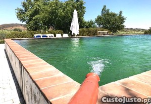 imagem_10