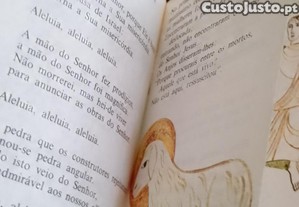 imagem_8