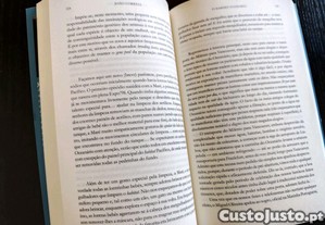 imagem_8