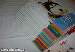 imagem_3