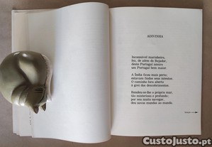 imagem_6