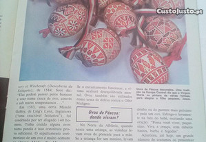 imagem_7