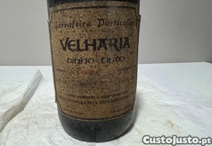 imagem_2