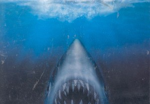 imagem_7