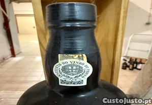 imagem_3