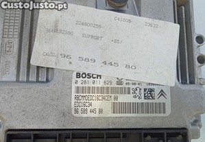 imagem_2