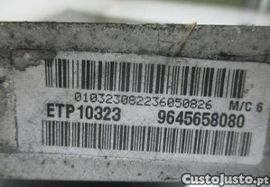 imagem_6