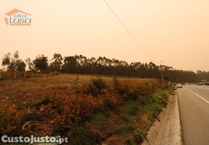 imagem_26