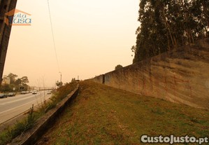 imagem_20