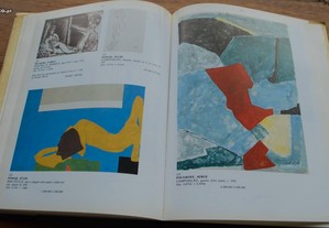 imagem_4