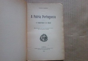 imagem_4