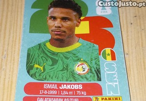 imagem_1