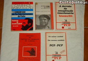 imagem_1