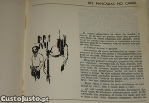 imagem_6