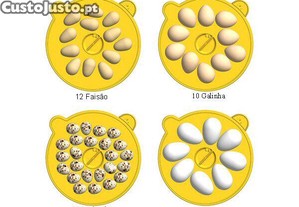imagem_6