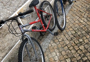 2 bicicletas 20e