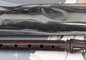 Flauta Stern Semi-Profissional
