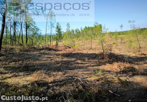 imagem_5