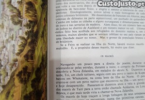 imagem_4