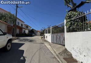 imagem_21