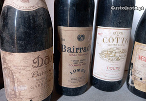 5 garrafas de vinhos tintos antigos em bom estado de conservação