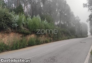 Terreno Rústico Em Nogueira Da Regedoura: Alto...