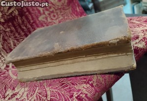 imagem_7
